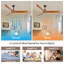Ventilateur de plafond en bois 60 pouces sans lumière, moteur à courant continu réversible, ventilateur d'intérieur pour le salon de la chambre à coucher, convient au plafond incliné incliné