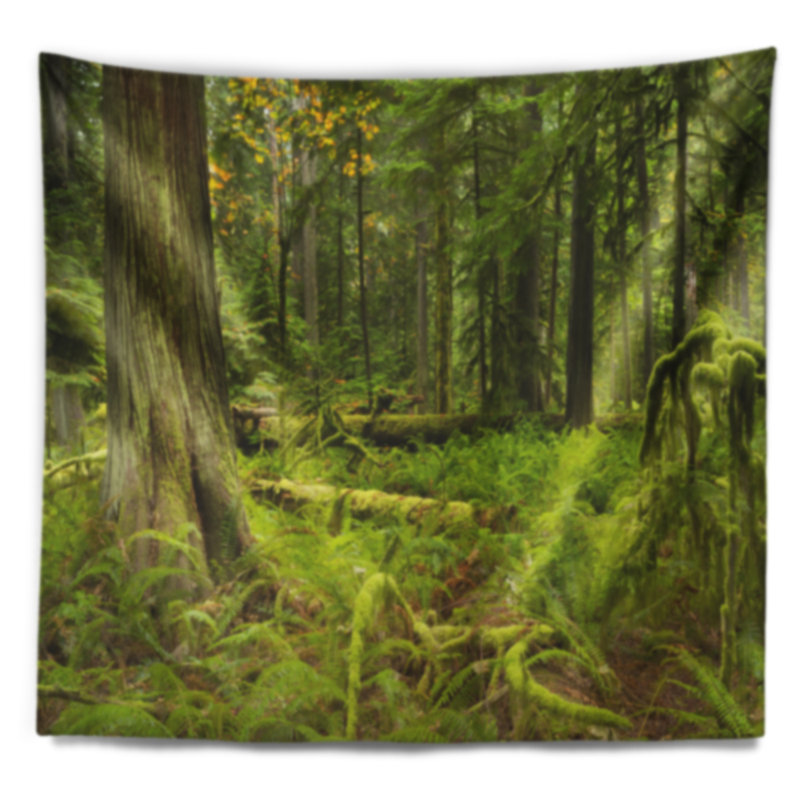 Paysage avec forêt tropicale luxuriante et cathédrale Grove, H 68 po x l 80 po