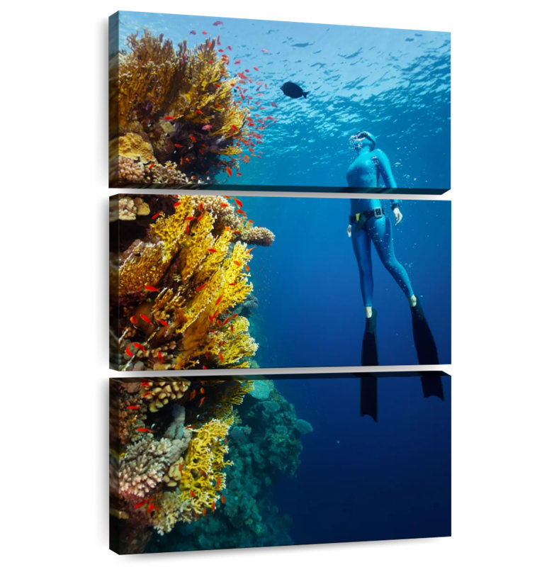 Sireci Coral Reef Freediving