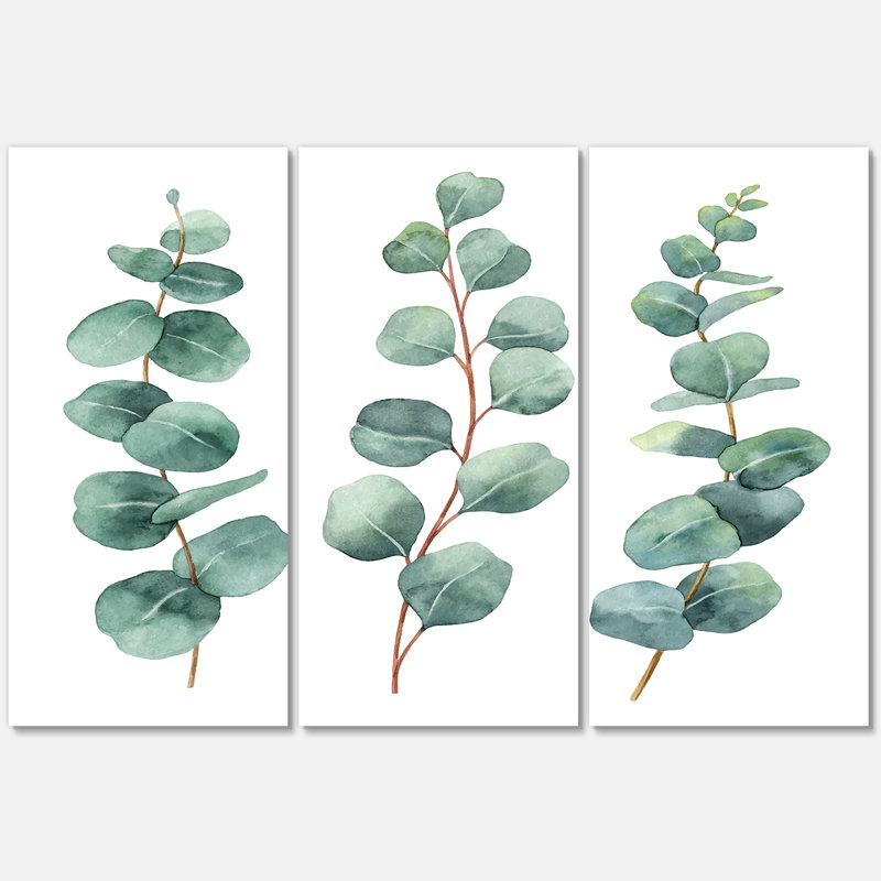 Jeunes feuilles d'eucalyptus et branches I - impression 3 pièces