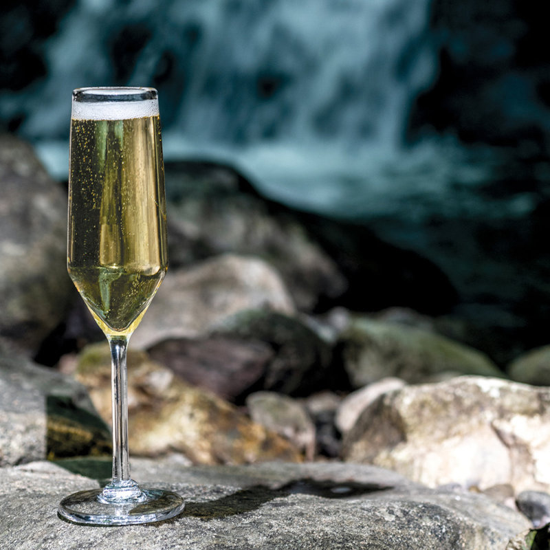 Bristol Champagne Flute