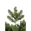 Grand Teton 14' Lighted Artificial Christmas Tree-105789241