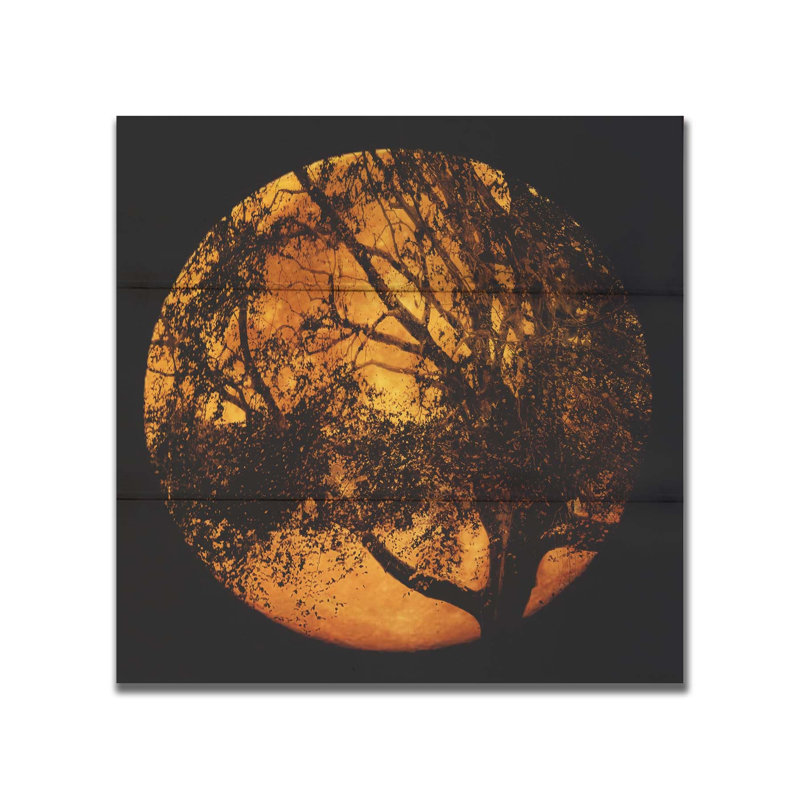 "T'was A Night" par Hal Halli on, Non, Bois, H 20 po x l 20 po