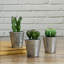 Mini cactus artificiel en pot 3,5 po
