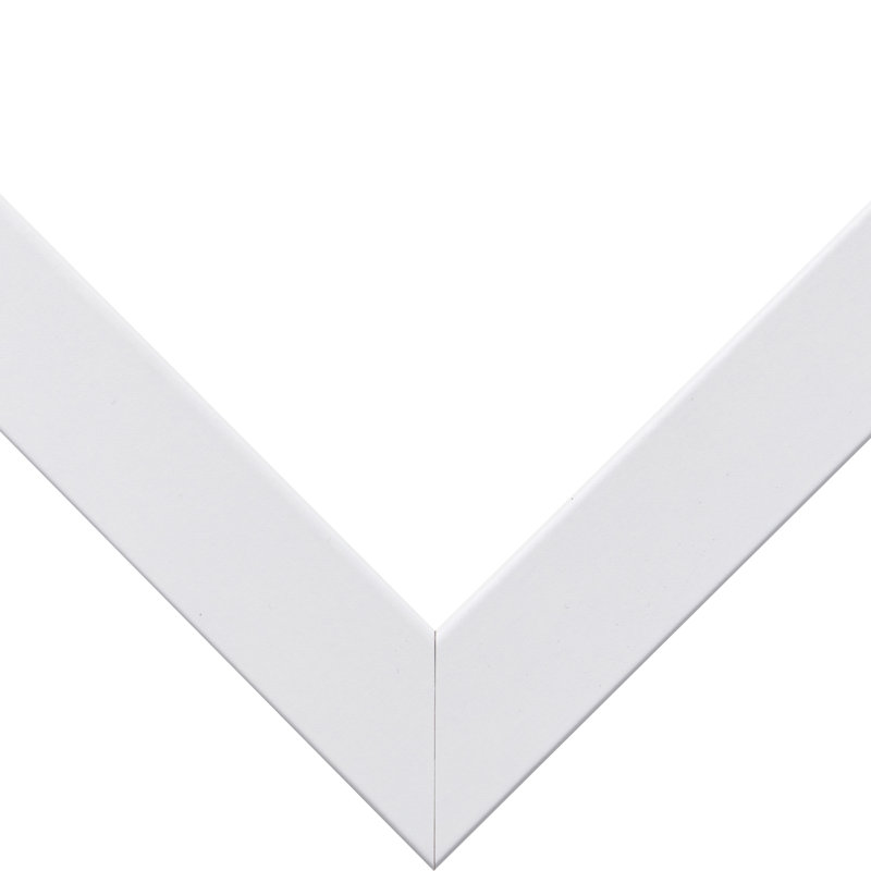 Hunziker Picture Frame with Mat, 14" x 20" Matted to 11" x 17", White
