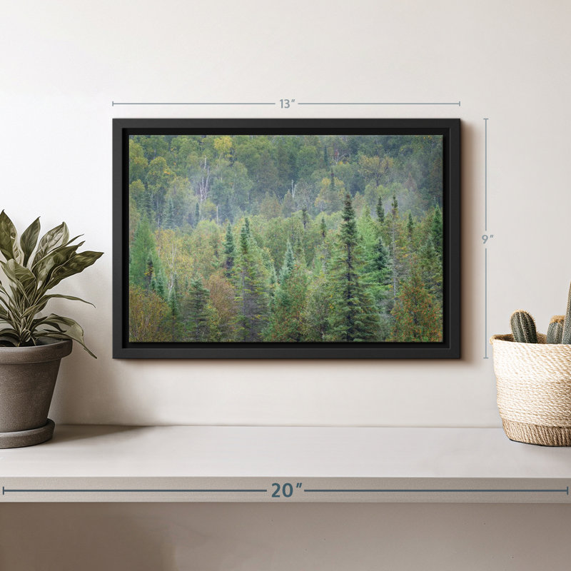 Impression sur toile Superior National Forest, H 9 po x l 13 po