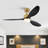 Loritta 52'' 3 - Blade Large Indooor Ceiling Fan With Light Kit and Remote, 3 LED Colors, 6 Speed Noiseless DC Motor, Timer-1564038048