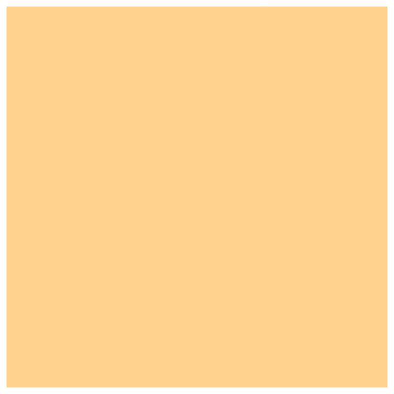 Solid Beige Color Duvet Covers, King