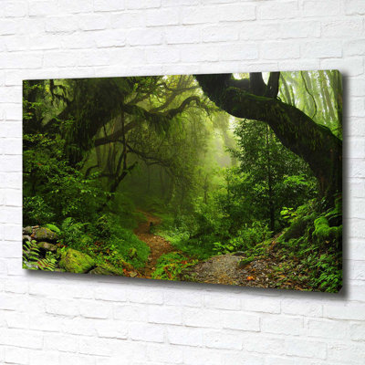 Jungle In Nepal - Wrapped Canvas Print