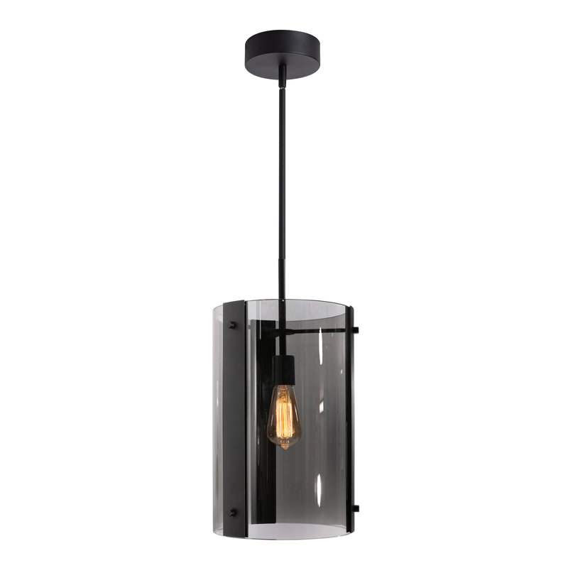 Luminaire suspendu simple noir 1 lumière Navendra