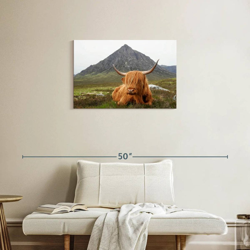 Vache sereine Brampt Highland, H 20 po x l 30 po