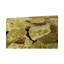 Windsom Floral Area Rug
