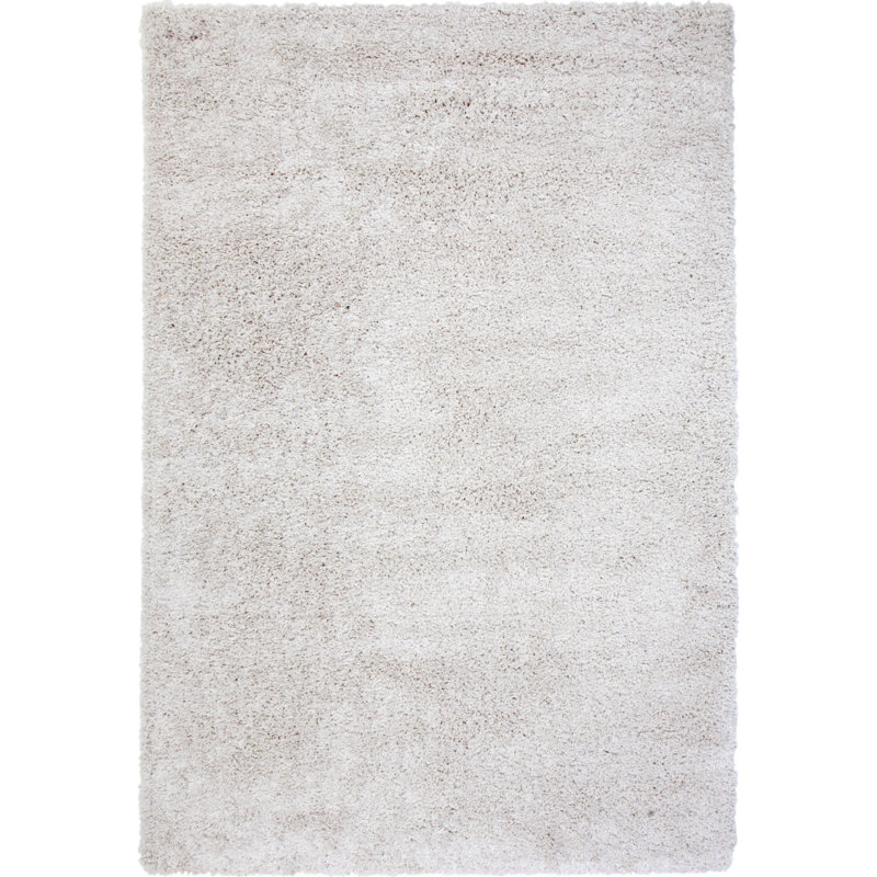 Tapis blanc à poils longs 5X8