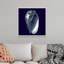 « Indigo shells V » par vision studio-impression-567973474-567973457