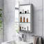 Armoire à pharmacie 15 po x 26 po avec miroir réglable et fixation murale en aluminium pour salle de bain