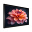 Photo de souci rose rose et orange chaud - souci mural-190633175-85216342