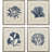 Indigo Sea Life Framed Art
