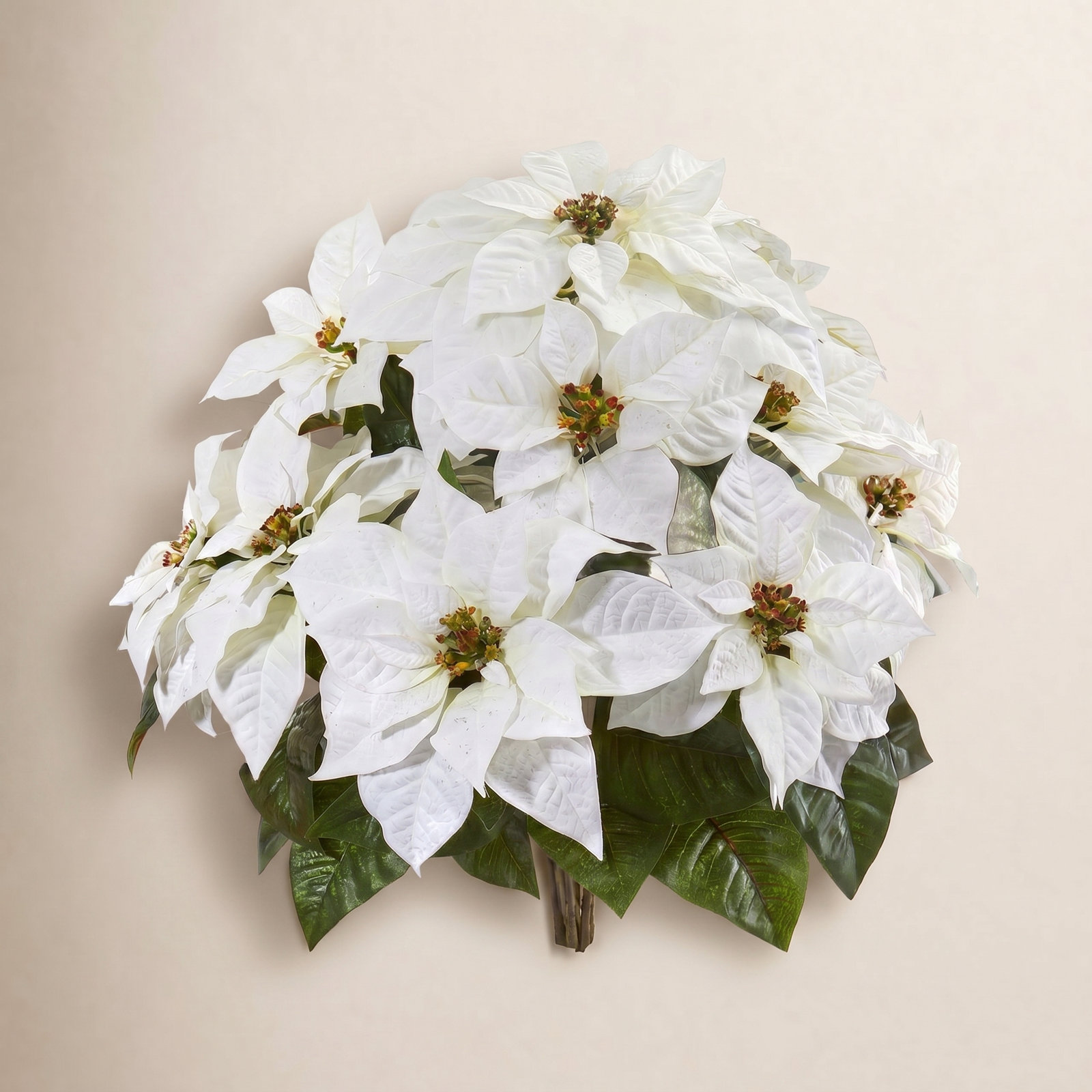 Poinsettia Floral Arrangement, White