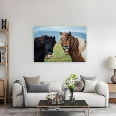 Drôle de chevaux riant ludique, cheval contemporain contemporain, montagne, art mural