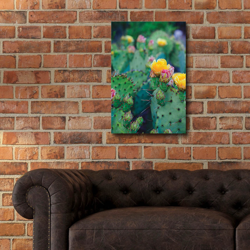 «Spring Cacti 1» par Sonja Quintero, H 24 po x l 16 po x P 0,2 po