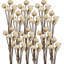 23.5" Pumpkin Pod Twig Stem for Holiday Decor