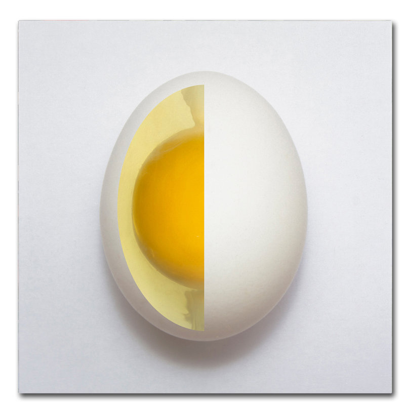 Art mural sur toile tendue - «Inner Egg» d'Adelino Alves pour décoration de salon, de chambre à coucher ou de bureau - 14 x 14