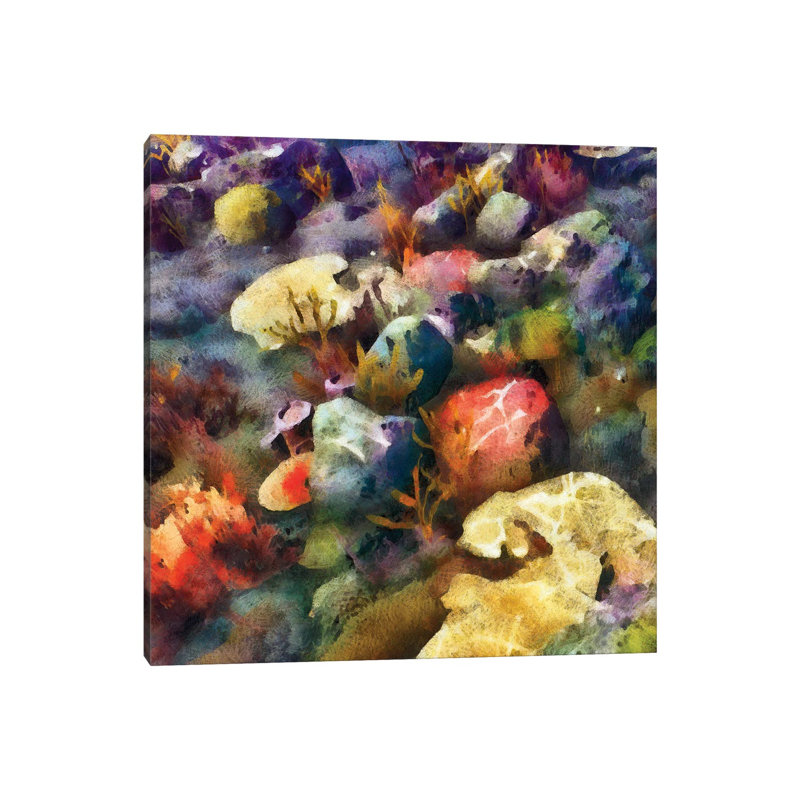 Sea Life III by Alonzo Saunders - Wrapped Canvas Painting, 93.98 cm H x 93.98 cm W x 3.175 cm D