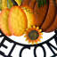 13 couronne