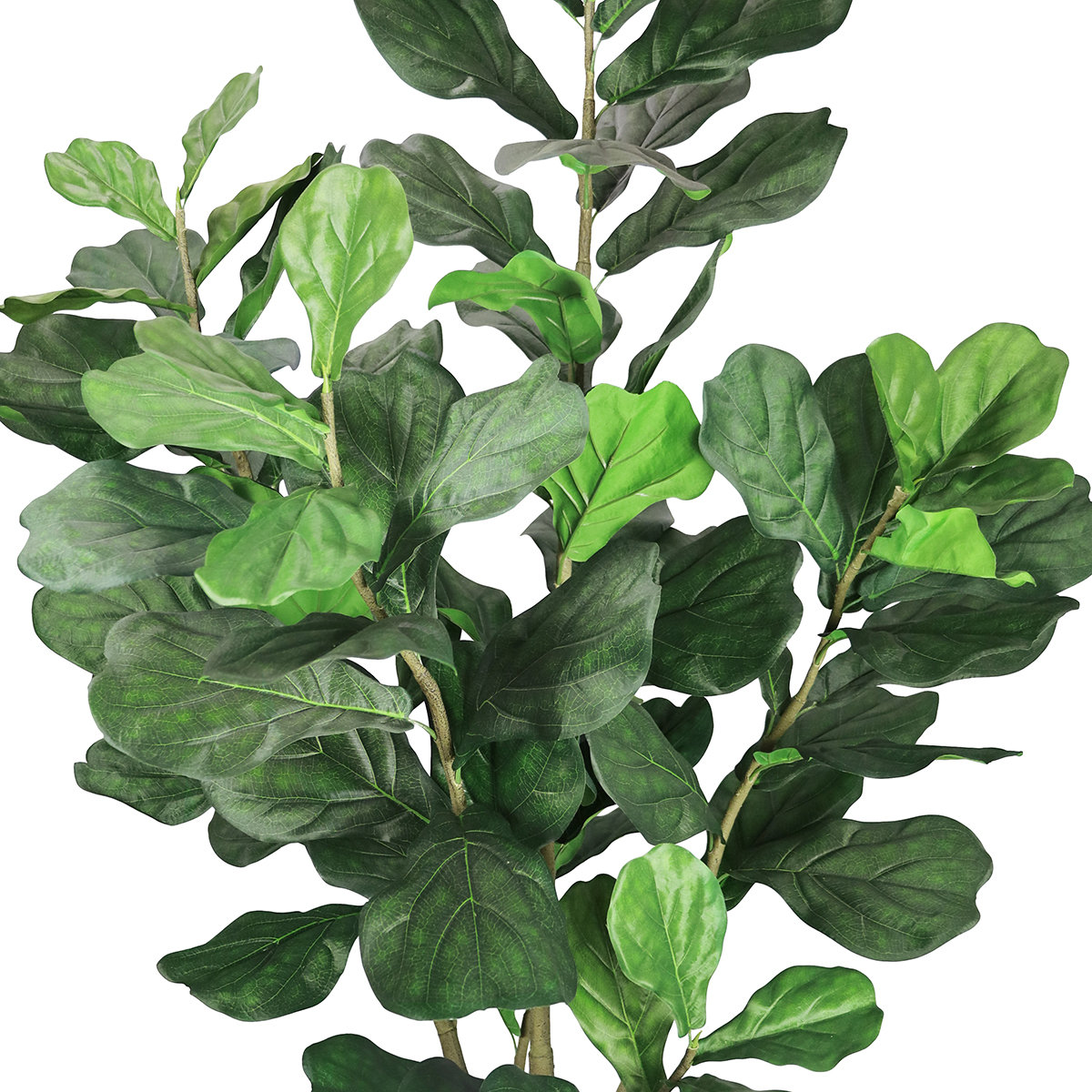 96" Fiddle Leaf Fig Tree in Pot, 84" x 40"