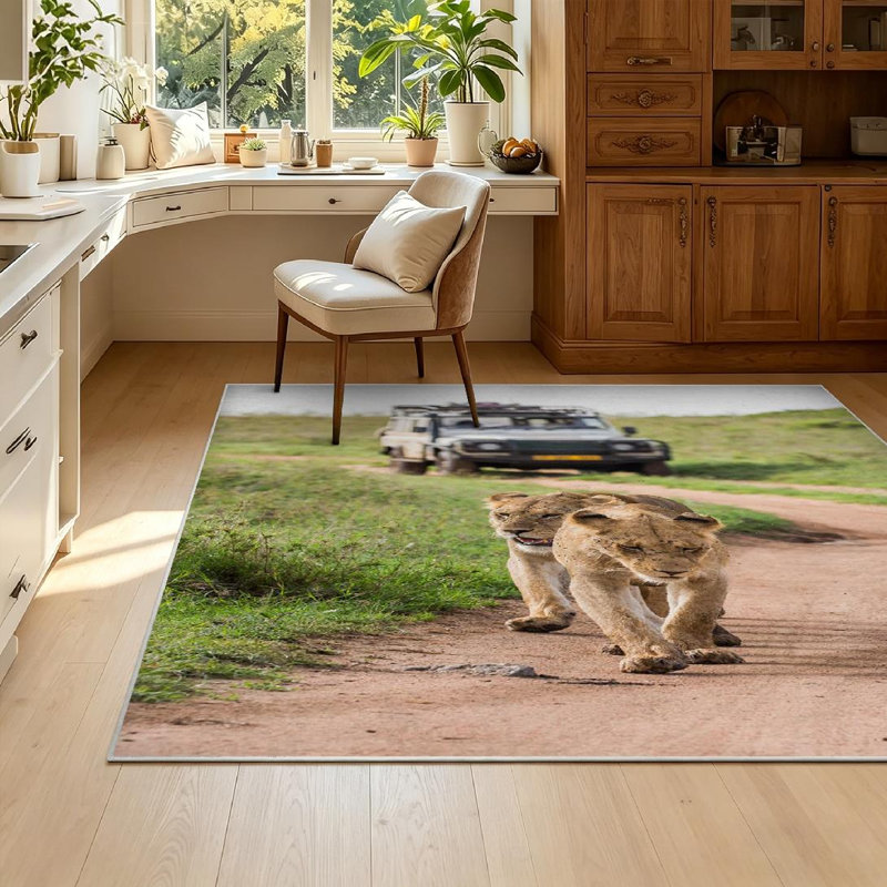 Toile de fond rouge de voiture avec tapis intérieur rouge lavable à la machine, Rectangle 55 po x 79 po