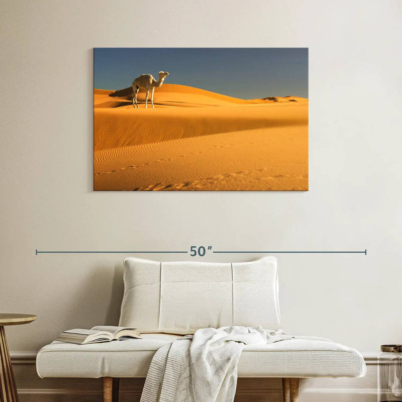 Chameau du désert d'Alvord Sahara