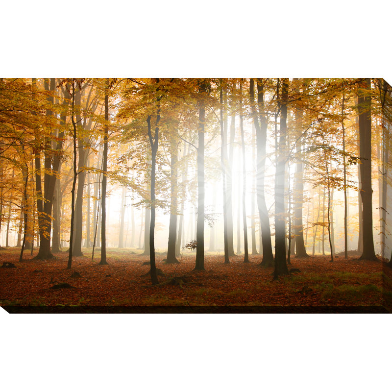 " Fall ", 24" H x 40" W x 1" D