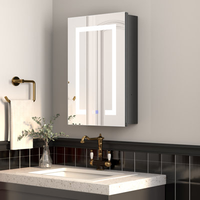 Hellmuth Frameless Medicine Cabinet with Adjustable Shelves and Lighting