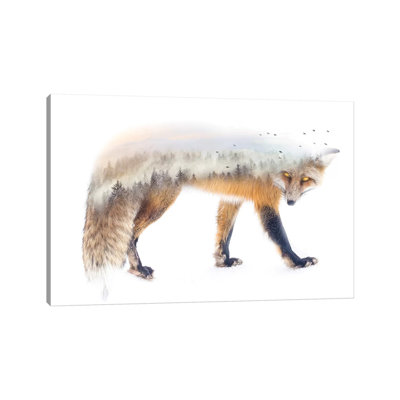 " Nature Fox " by Paul Haag