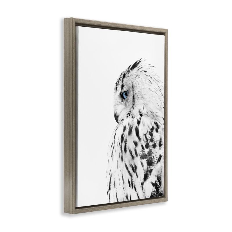  Chouette avec toile bleue forte par Design Fabrikken, H 31 po x l 21 po, Cadre flottant orme Montalcino
