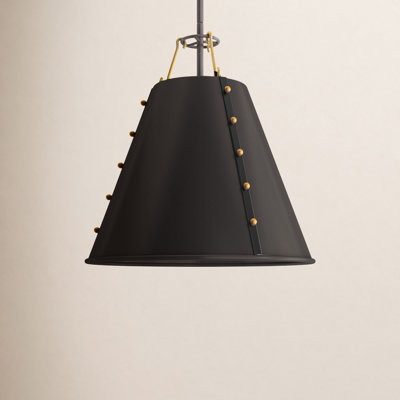 Priyanka Single Light Metal Dimmable Pendant