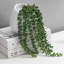 Wall Planter