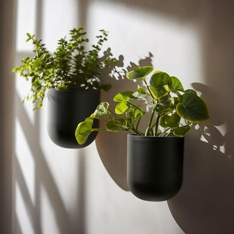 Jardinières murales suspendues pour plantes d'intérieur P Pots de fleurs suspendus pour plantes grasses, ensemble de 2, 5,7 L * 4,1 l * 7 H, noir