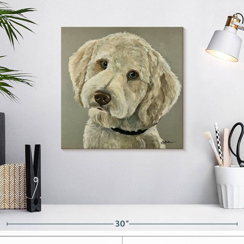 Goldendoodle sur fond gris, H 16 po x l 16 po