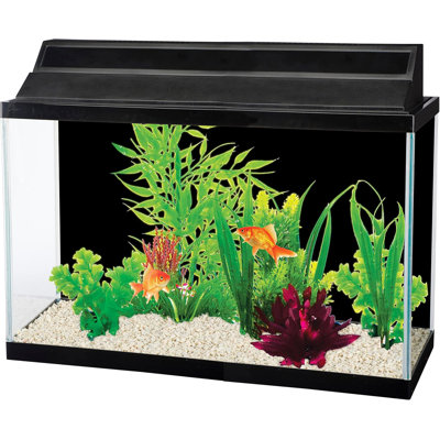 Double-Back Roll-A-Scene Aquarium Background