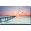 «Ocean Skies 2», reproduction de photo sur toile tendue-1533312557