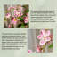 Ornement artificiel en pot 68,9 ", feuilles délicates colorées à la main, façonnable, multi-style et multi-scène