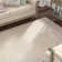 Overholt Performance Oriental Rug