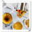Dollene Stainless Steel Food Storage Container - Set of Containers and Lids