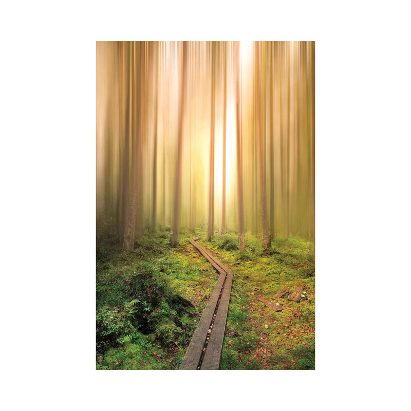 Into The Light by Christian Lindsten - Wrapped Canvas Gallery-Wrapped Canvas Giclée, 20.32 cm H x 30.48 cm W