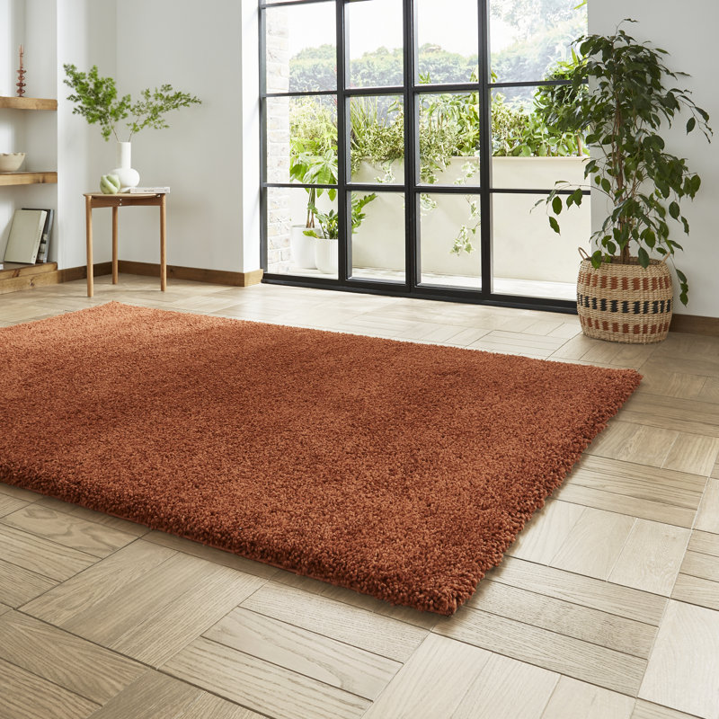 Porretto area rug Machine Woven Rectangle, Rectangle 160 x 230cm