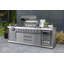 Norfolk Grills 6 Burner Standing Gas Grill with Side Burner, Fridge & Sink