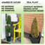Buis artificiel 38 po en pot-329832530