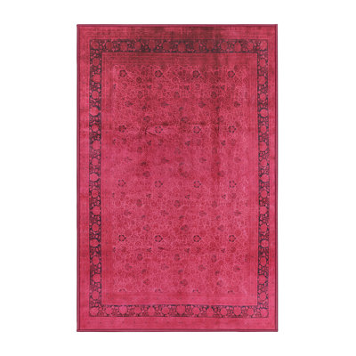 Oriental Indoor Rug