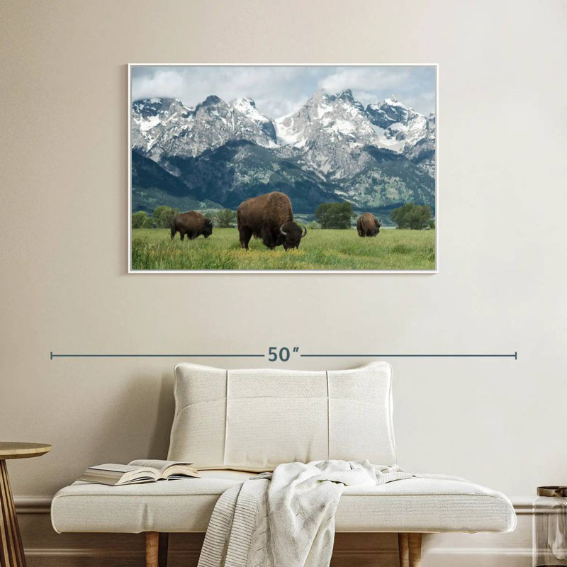 Grand Teton American Buffalo Herd, Cadre flottant blanc, 40 po x 27 po